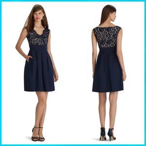 NWT White House Black Market Sleeveless V-Neck Lace Faille Dress